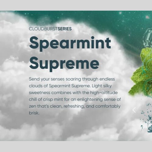 Mint Supreme- 2 gram Vape Box - Image 4